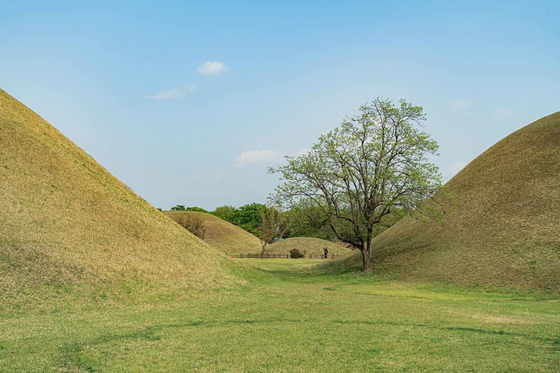 Gyeongju Ancient Architecture UNESCO Sites One-Day Private Tour - Who should book this tour