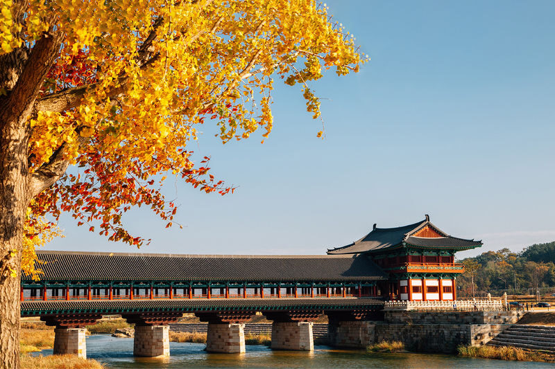 Gyeongju Autumn Foliage Day Tour from Busan - Bomun’s autumn color comes with a history lesson