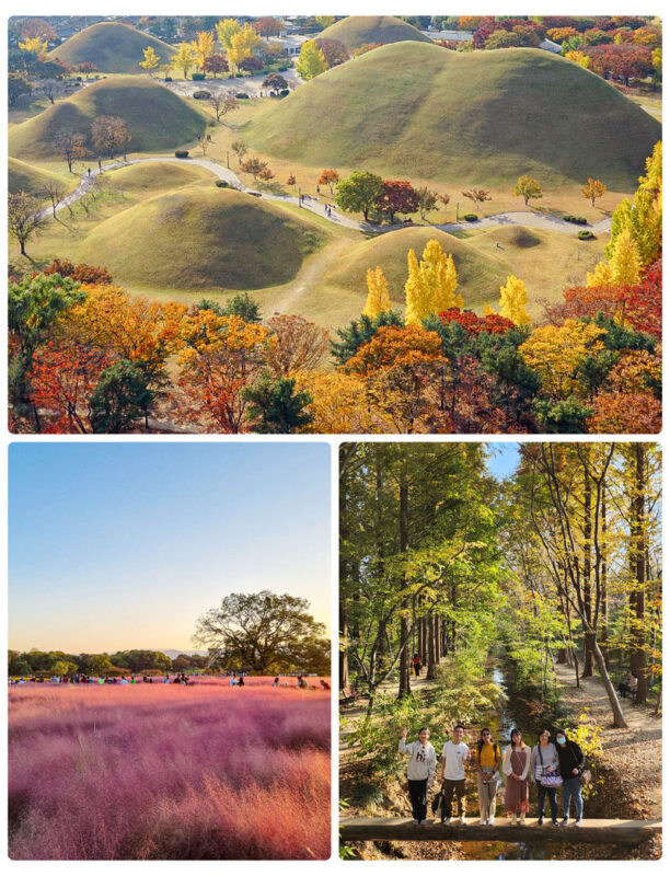 Gyeongju Autumn Foliage Day Tour from Busan - What the 8:20 departure means for your day