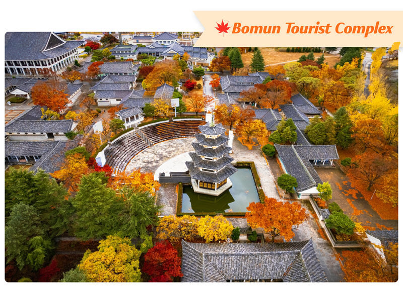 Gyeongju Autumn Foliage Day Tour from Busan - The Eastern Historic Area: Silla sites at walking pace