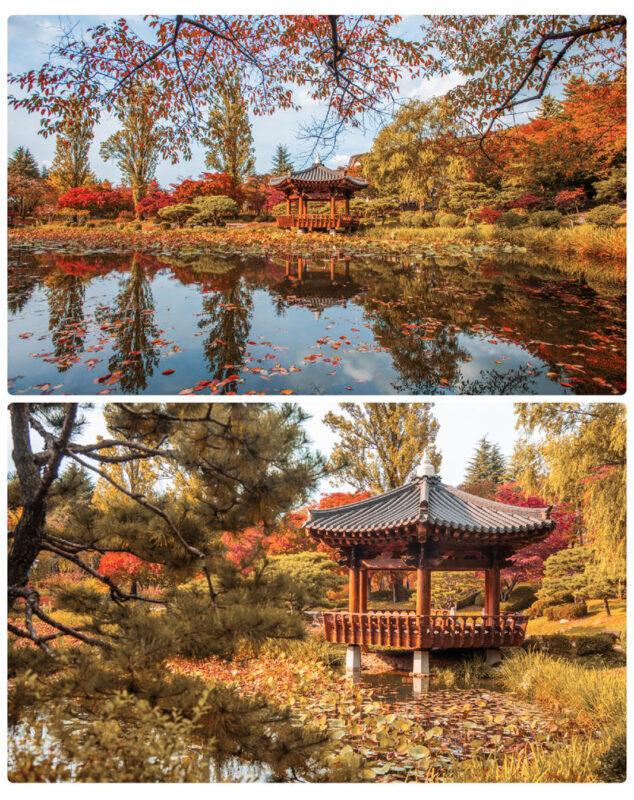 Gyeongju Autumn Foliage Day Tour from Busan - Guides and group size shape the experience