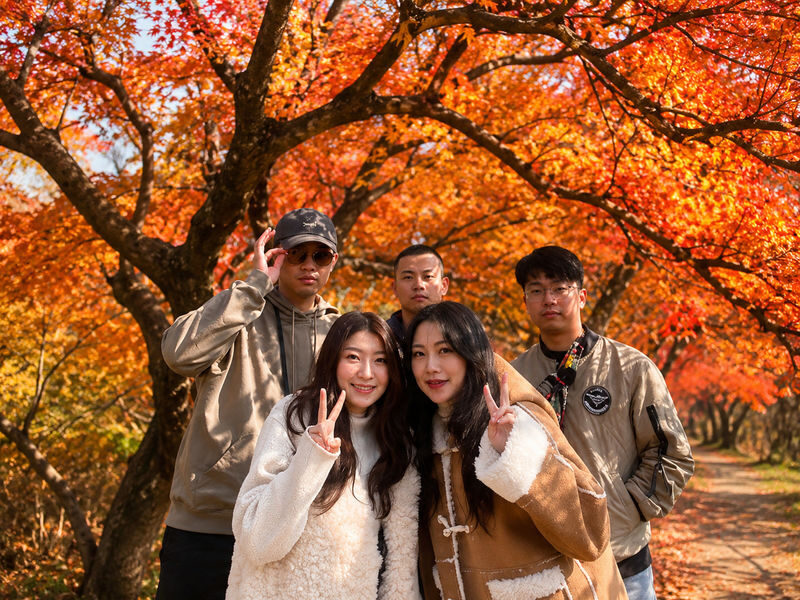 Gyeongju Autumn Foliage & Pink Muhly Tour from Busan - Gyeongju’s seasonal mix is the point