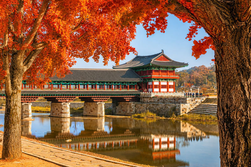 Gyeongju Autumn Foliage & Pink Muhly Tour from Busan - Rice cake pounding and a taste of local food