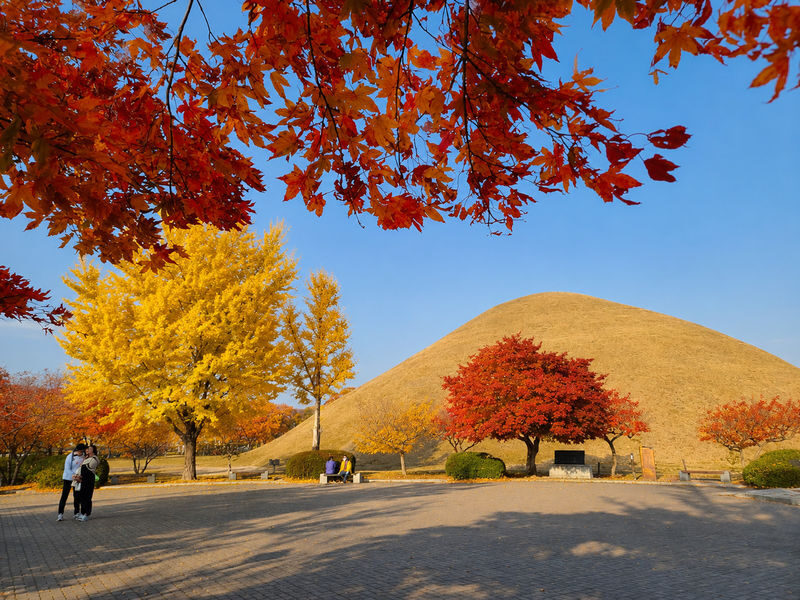 Gyeongju Autumn Foliage & Pink Muhly Tour from Busan - Hans and Erica make the history easier to follow