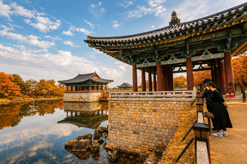 Gyeongju Autumn Foliage & Pink Muhly Tour from Busan - Who should book this Gyeongju day trip?