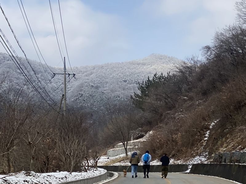 Gyeongju Countryside Cooking Class & Chopsticks Making - Kimbap, jumeokbap, and a picnic lunch