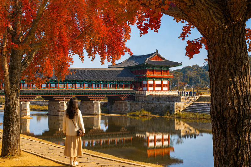 Gyeongju Cultural & Historic Legacy Tour from Busan - Ahopsan Forest, a bamboo opening act