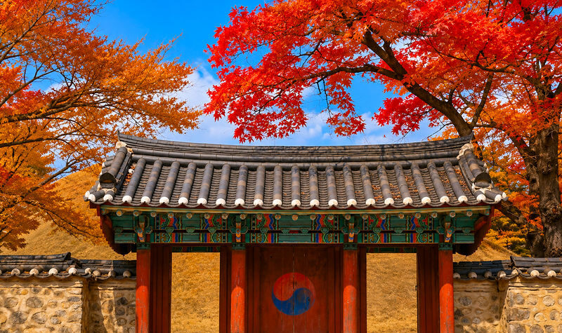 Gyeongju Cultural & Historic Legacy Tour from Busan - Gyochon’s traditional houses and rice-cake making