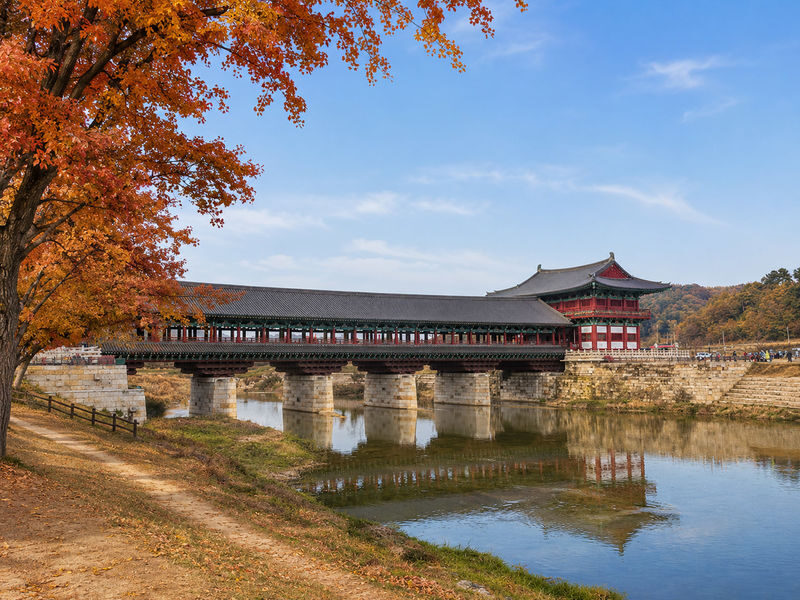 Gyeongju Cultural & Historic Legacy Tour from Busan - What the price includes, and what it does not