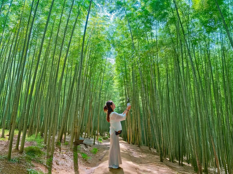 Gyeongju Cultural & Historic Legacy Tour from Busan - Busan pickups and the long ride home