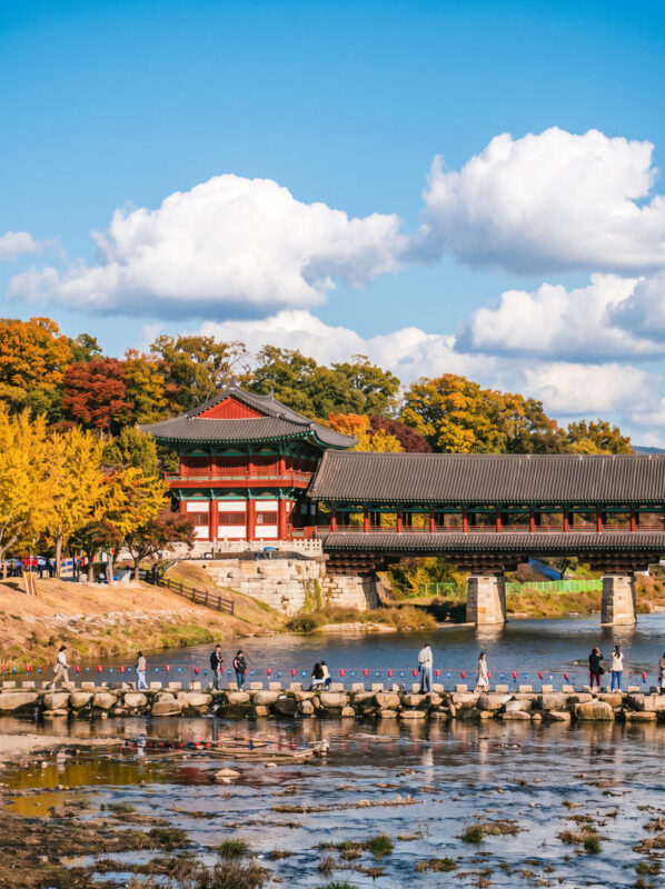 Gyeongju Day Tour from Daegu: 7 Highlights Including Bulguksa - Hwangnidan-gil: an hour on your own