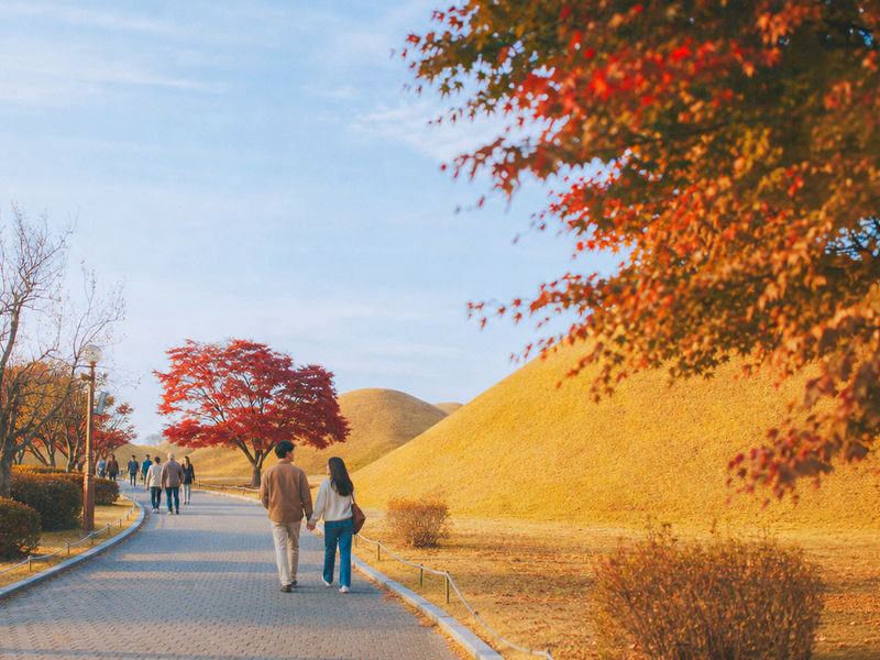 Gyeongju Day Tour from Daegu: 7 Highlights Including Bulguksa - What the guide adds