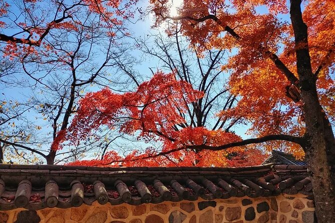 Gyeongju Full-Day Guided Tour From Seoul - Pricing and Value