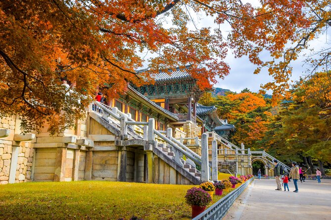 Gyeongju Full-Day Guided Tour From Seoul - Payment Options