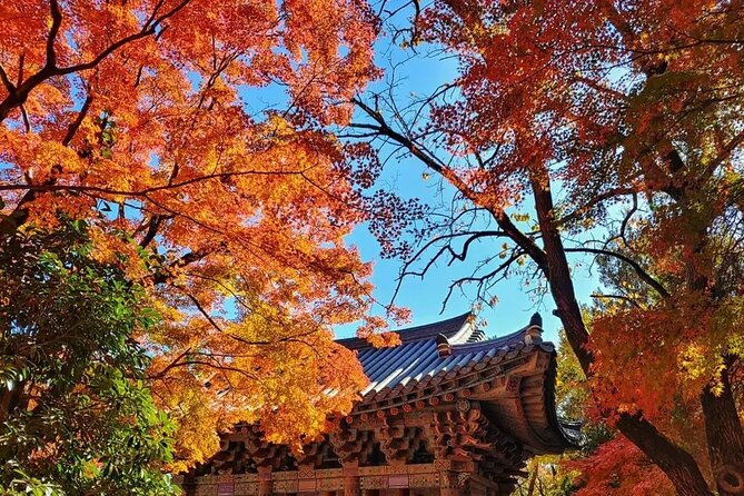 Gyeongju Full-Day Guided Tour From Seoul - Transportation Details