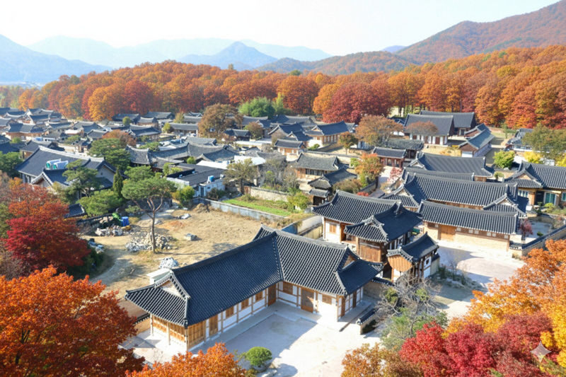 Gyeongju Full-Day Small Group Historical Tour - From Busan, pickup can simplify the day
