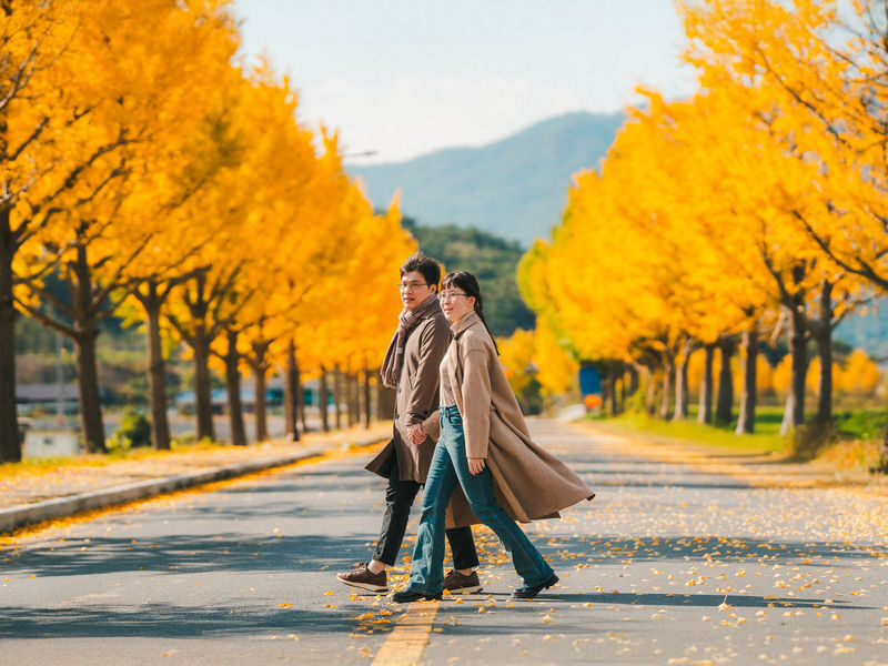 Gyeongju Full-Day Small Group Photo Tour with Photographer - Millennium Garden: a slower pause between major sights
