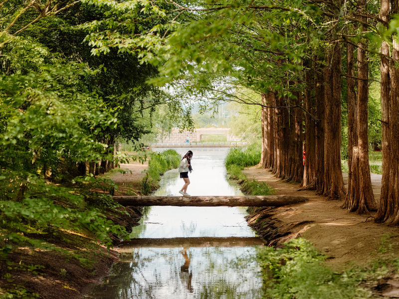 Gyeongju Full-Day Small Group Photo Tour with Photographer - Donggung Palace and Wolji Pond after dark
