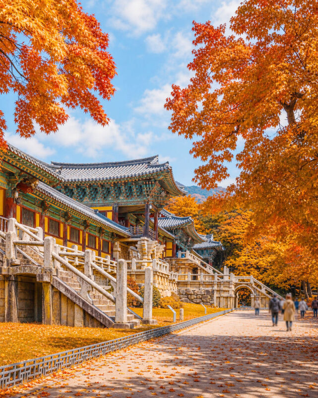 Gyeongju Full-Day UNESCO Sites Guided Tour - Gyeongju’s great advantage is how much history fits into one day