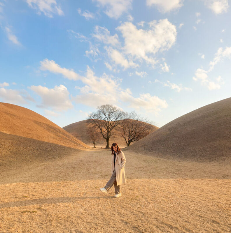 Gyeongju Full-Day UNESCO Sites Guided Tour - Daereungwon makes Silla history visible