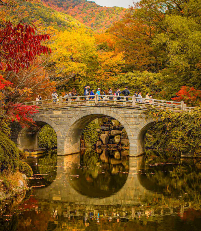 Gyeongju Full-Day UNESCO Sites Guided Tour - Budget for a long day and confirm the departure city