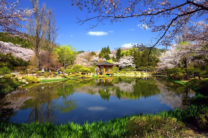 Gyeongju Maple Tour From Busan - Best Time to Visit