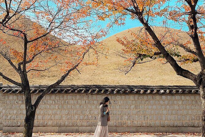 Gyeongju One-Day Tour from Daegu - Who Is This Tour Best For?