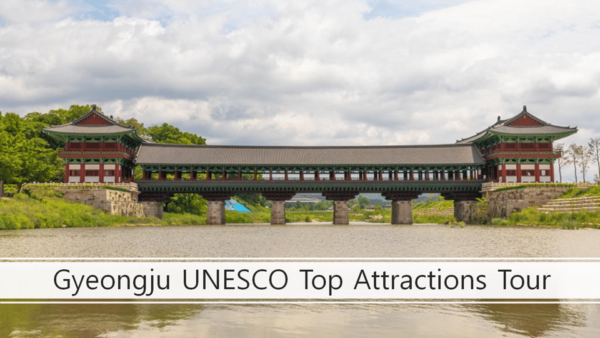 Gyeongju Private Car Charter Tour From Busan - Communication Options