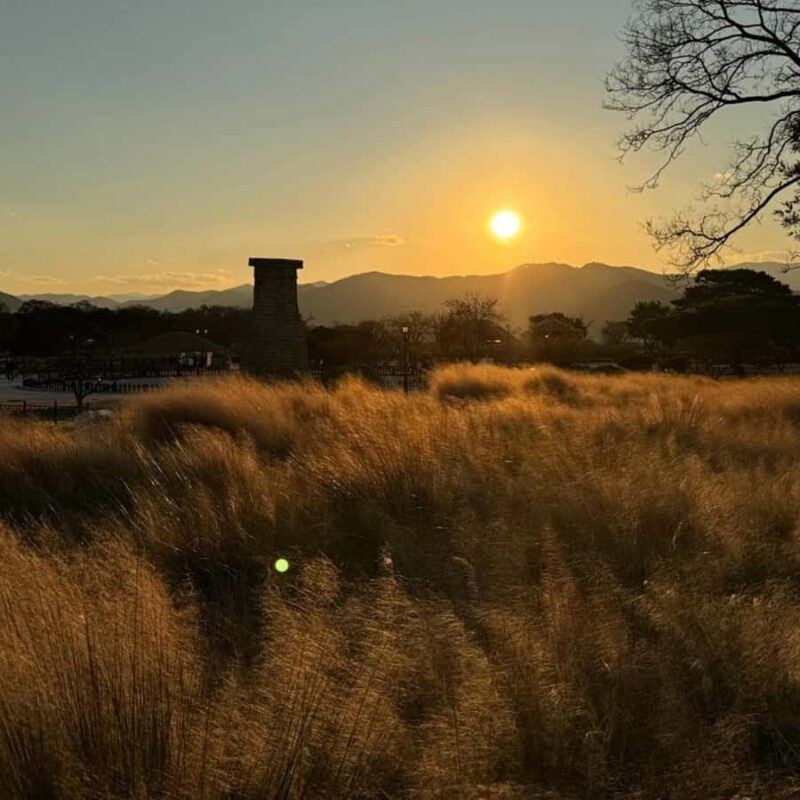 Gyeongju: Private Car Tour UNESCO Site & Yangdong Village - Final Thoughts