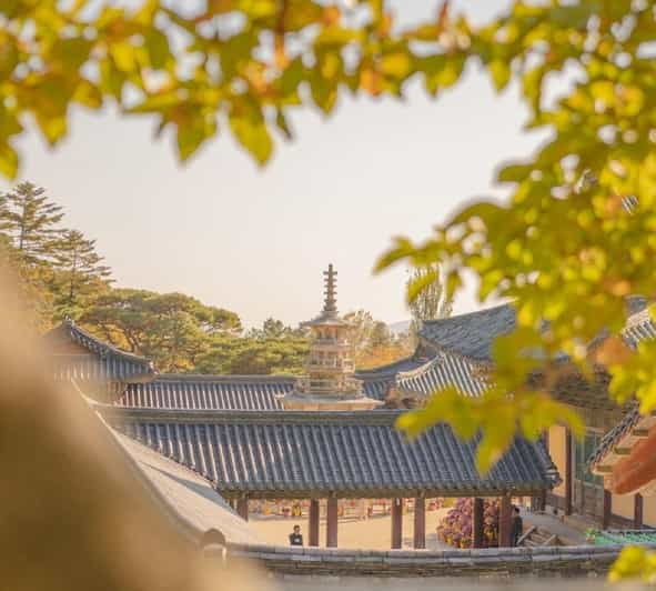 Gyeongju Private Car Tour With a Licensed Tour Guide - Experience and Itinerary Highlights