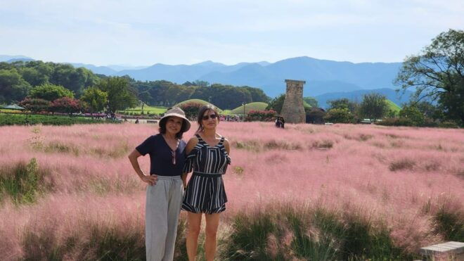 Gyeongju Private Car Tour With a Licensed Tour Guide - Inclusions and Additional Information