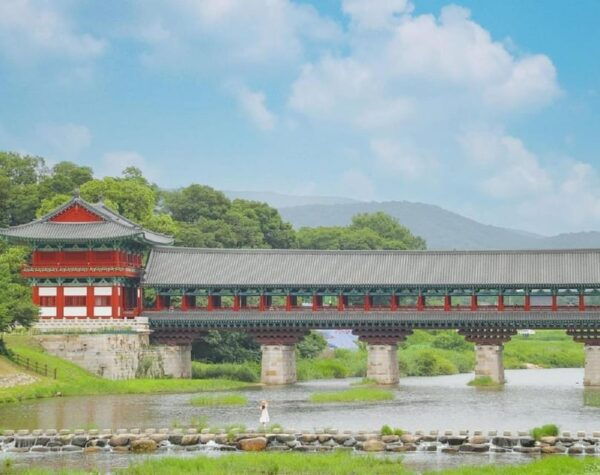 Gyeongju Private Car Tour With a Licensed Tour Guide - Questions You May Have