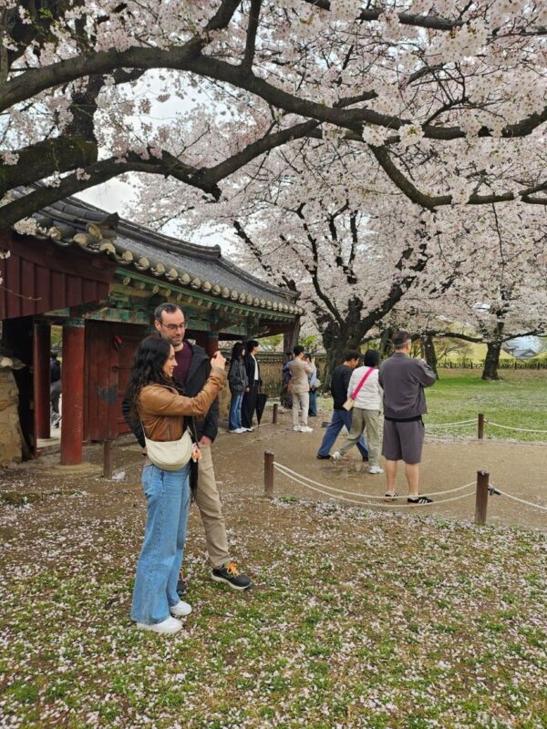 Gyeongju Private Highlights Tour with Licensed Local Guide - The Busan drive and the schedule question