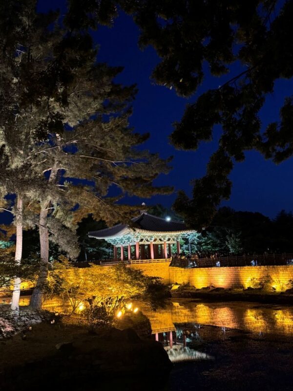 Gyeongju Private Highlights Tour with Licensed Local Guide - What the price covers, and what it does not