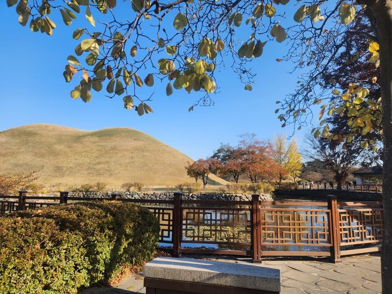 Gyeongju Private Tour from Busan - The guide can make the sites easier to understand