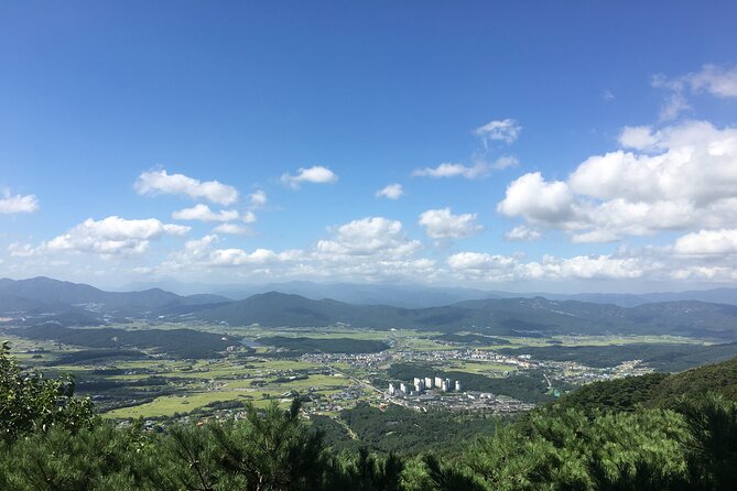 Gyeongju Temple Stay and 2 Days Private Tour Learning Monks Martial Arts - Martial Arts Training