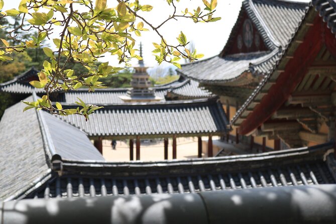Gyeongju Temple Stay and 2 Days Private Tour Learning Monks Martial Arts - Accommodation and Meals