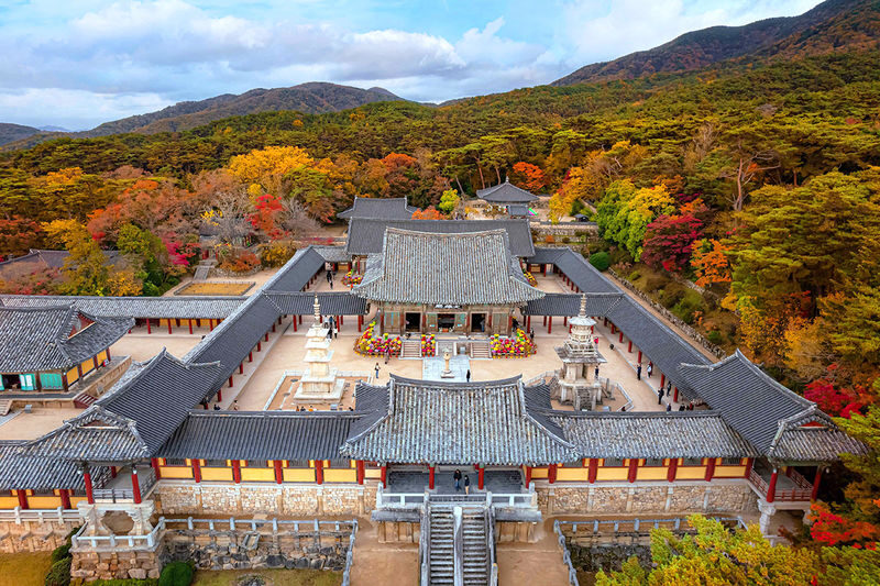 Gyeongju The Old Capital of Korea One Day Tour from Busan - Evening at Donggung Palace and Wolji Pond
