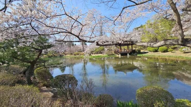 Gyeongju Tour: Public Taxi Car Private Charter - Key Points