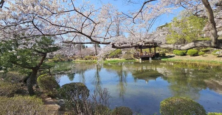 Gyeongju Tour: Public Taxi Car Private Charter - Experience and Itinerary