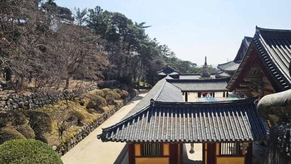 Gyeongju Tour: Public Taxi Car Private Charter - Popular Attractions in Gyeongju