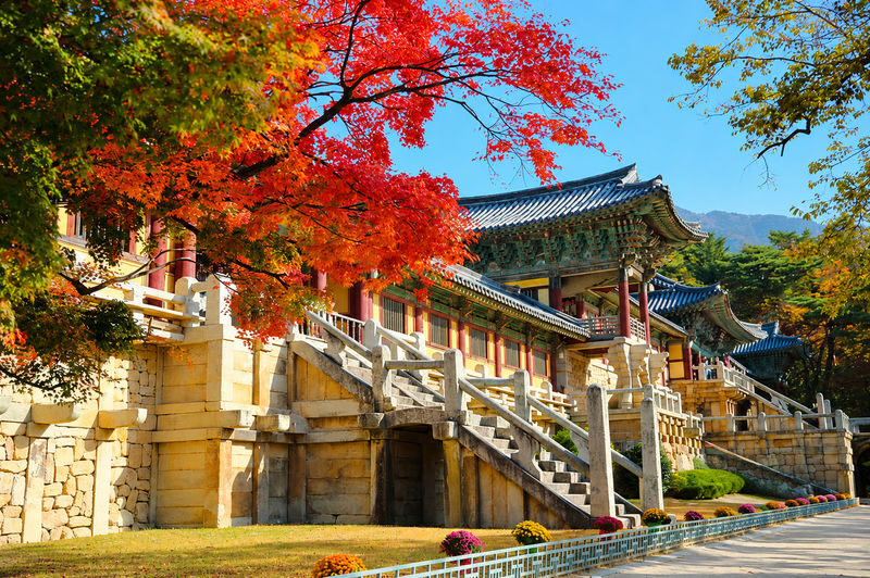 Gyeongju UNESCO Authentic Tour from Busan - Lunch and Gyochon’s traditional village
