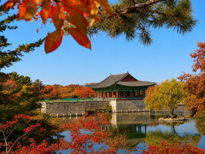 Gyeongju UNESCO Authentic Tour from Busan - Is the join-in tour worth the price?