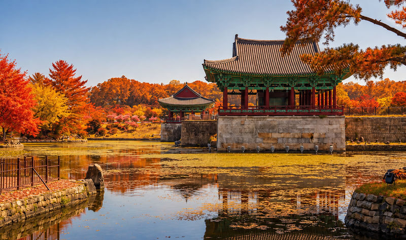 Gyeongju UNESCO Authentic Tour from Busan - A few details to settle before departure