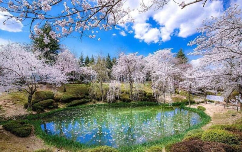 Gyeongju: UNESCO & Heritage Private Custom Tour - Scenic Spots and Film Locations