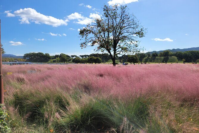 Gyeongju UNESCO Heritage Private Half-Day Tour - Transportation & Convenience