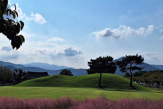 Gyeongju UNESCO Heritage Private Half-Day Tour - Price & Value