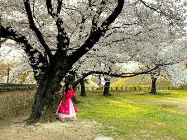 Gyeongju: UNESCO Highlights Tour With Guide and Ticket - Local Tips