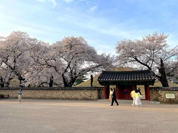 Gyeongju: UNESCO Highlights Tour With Guide and Ticket - Nearby Attractions