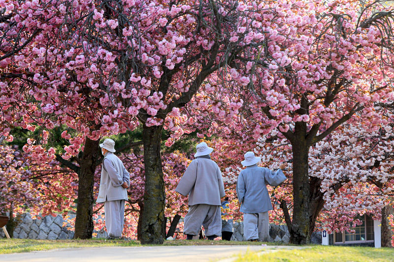 Gyeongju UNESCO World Heritage Day Tour from Busan - Woljeonggyo Bridge: a brief final look
